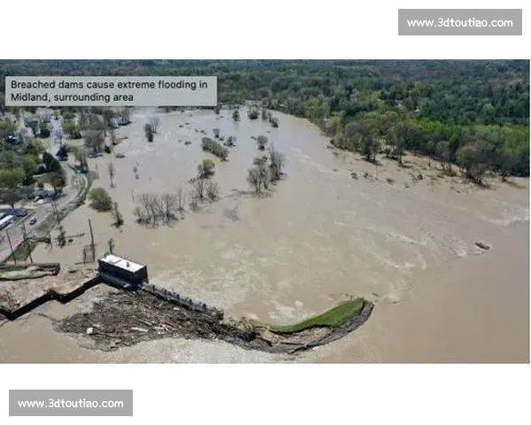 森林vs人类发展生态保护与未来生存之路的深度对话全球视角下的思考